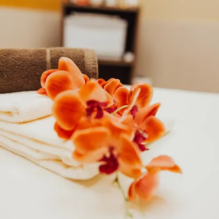 Strandperle Iv Jahreszeiten Ostseebad Kühlungsborn