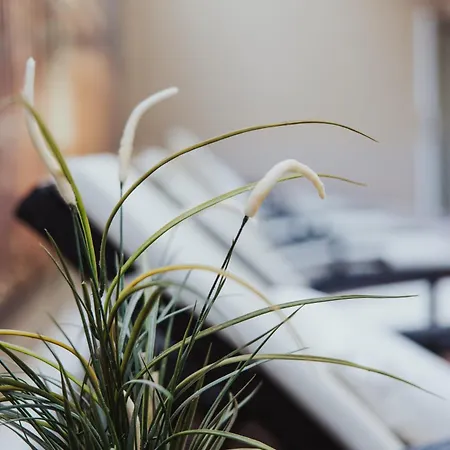 Strandperle Iv Jahreszeiten Ostseebad Kühlungsborn